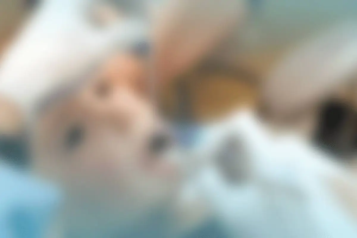 Imagen con fines ilustrativos.