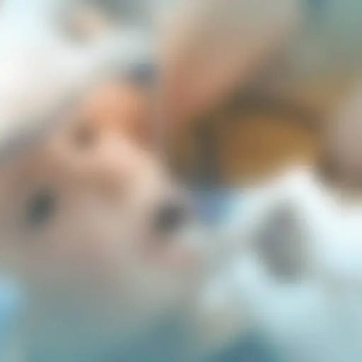 Imagen con fines ilustrativos.