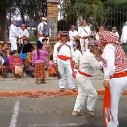 Danza en el parque Jocotenango ,