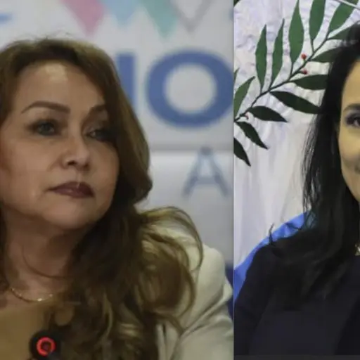 CIDH Medidas cautelares Leylay Lemus Irma Palencia ,