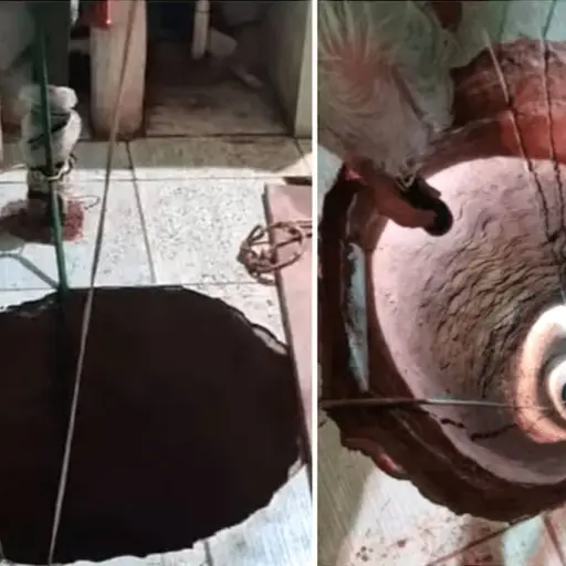 Captura de pantalla X.