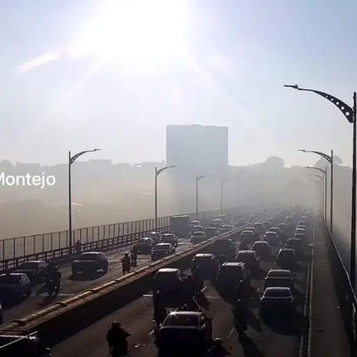 Foto: PMT capitalina/Montejo