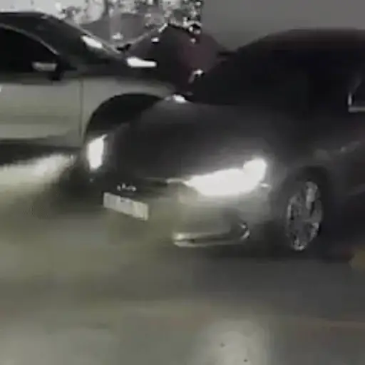 Captura de pantalla video X. 