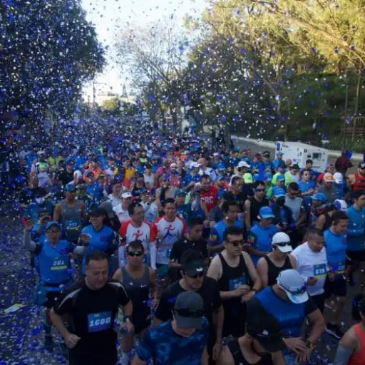 Foto: Omar Solís (archivo) 