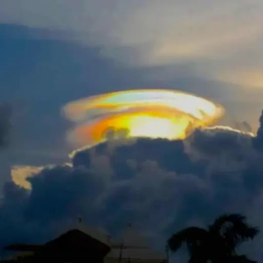 Imagen con fines ilustrativos. 