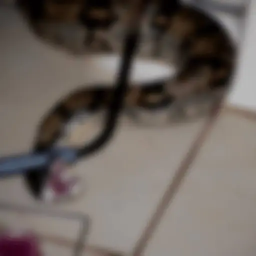 Imagen con fines ilustrativos. 