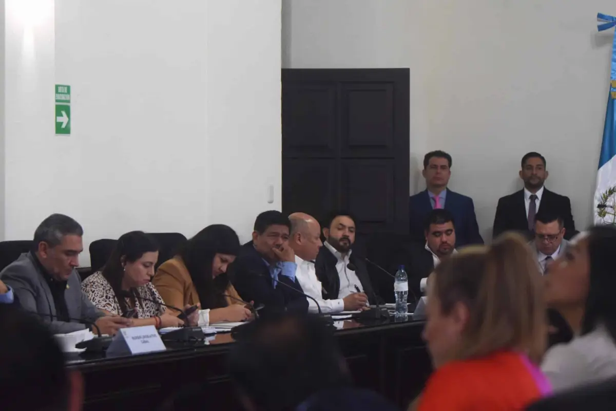 Diputadas Semilla Instancia de jefes de bloque, 