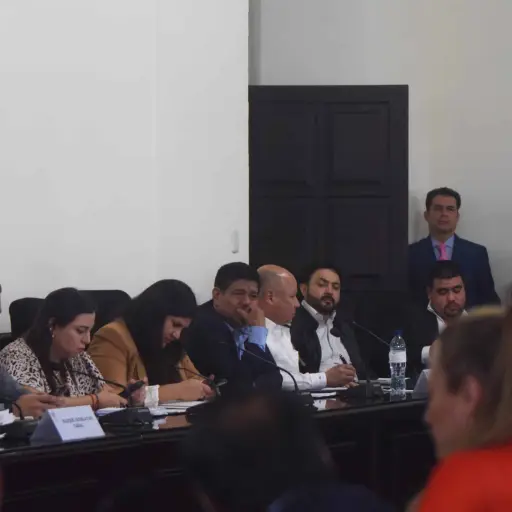 Diputadas Semilla Instancia de jefes de bloque ,