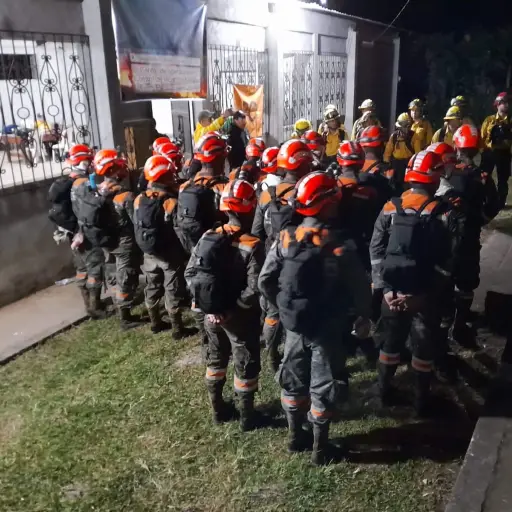 Incendioforestal en el cerro pecul ,