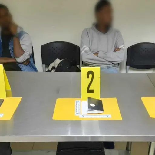 migrantes con visas falsas en el país ,