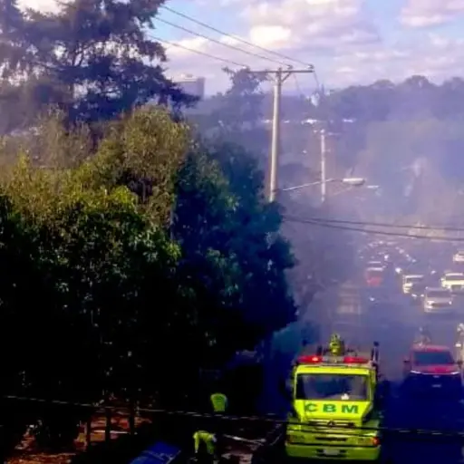 Foto: PMT capitalina/Montejo