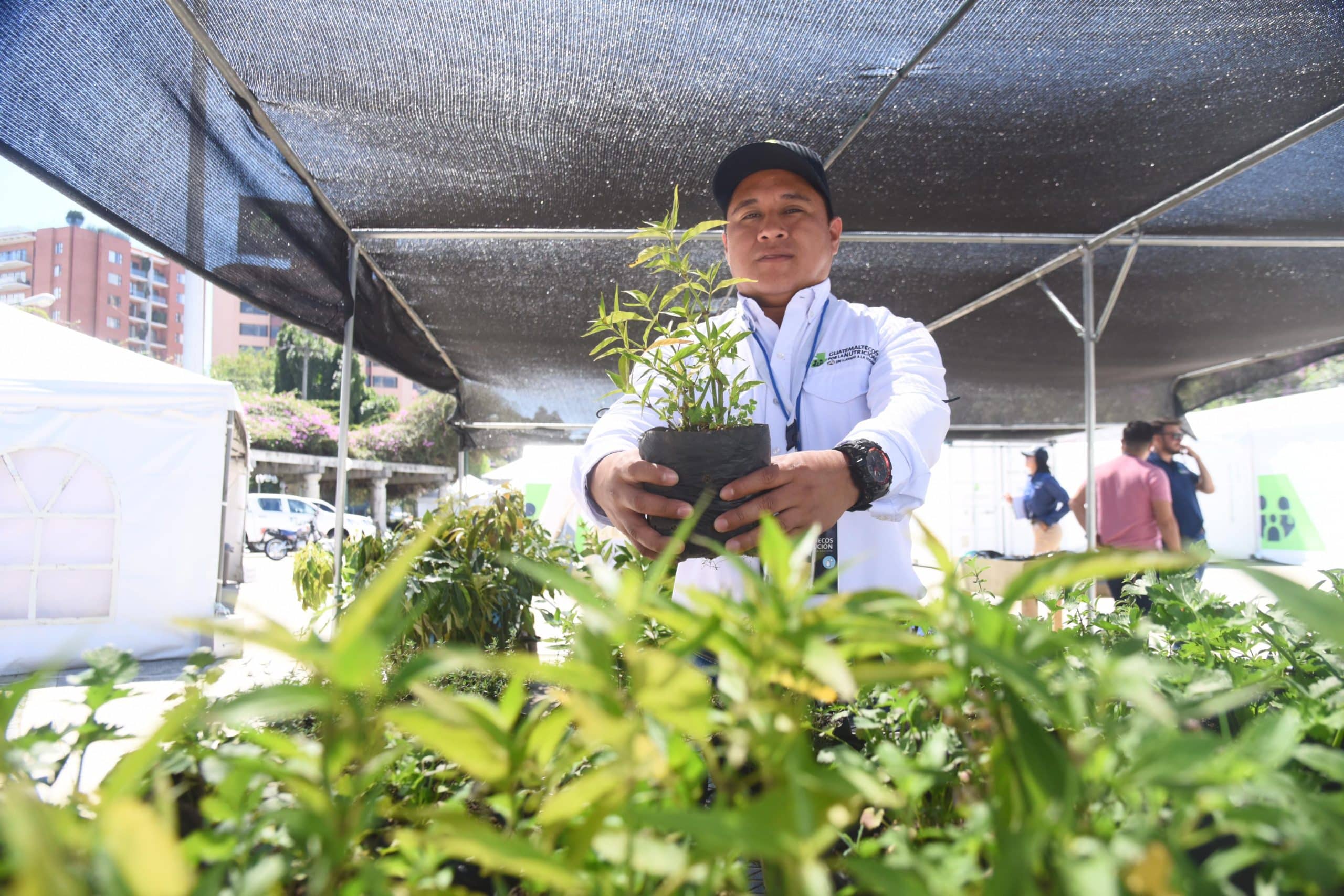 guatemaltecos-por-la-nutricion-emisoras-unidas10 | 