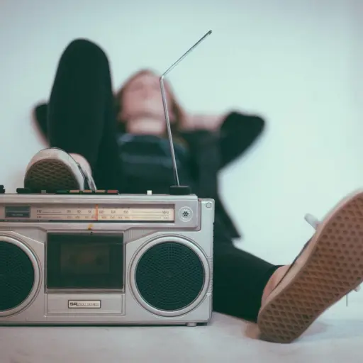 Día Mundial de la Radio ,