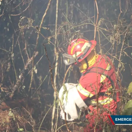 Tres incendios fueron reportados en San Marcos y Guatemala ,