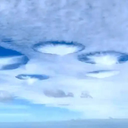 Captura de pantalla video de TikTok. 