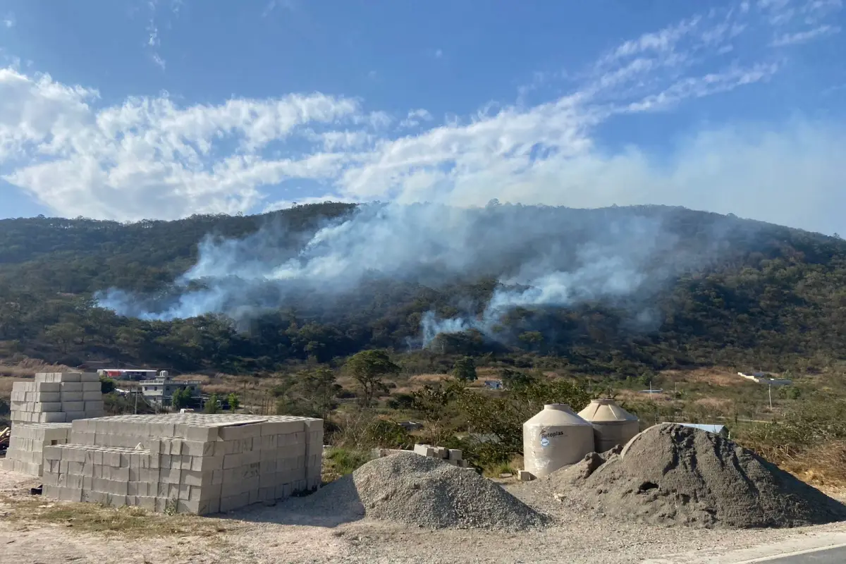 incendio en san jose del golfo forestal, 