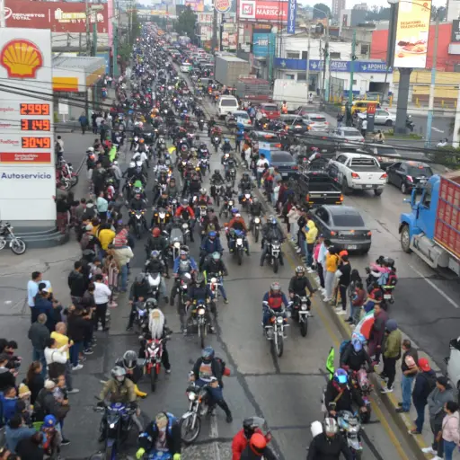 Foto: Alejandro García.