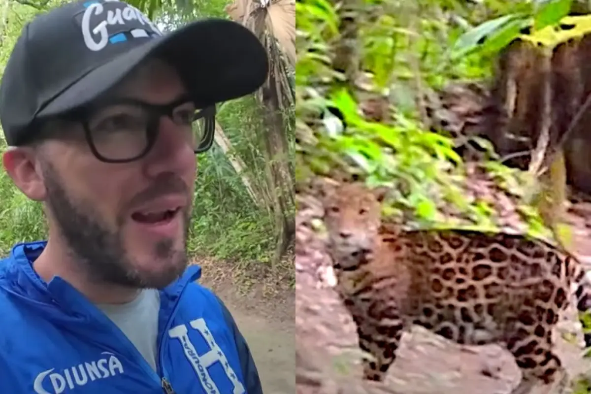 turista-argentino-se-topa-de-frente-con-jaguar-tikal.jpg, 