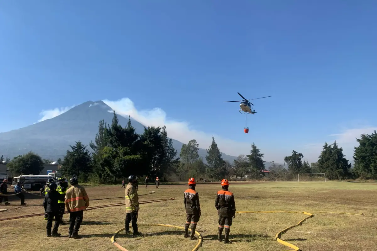 Bienestar de los animales en incendio del volcán de agua, 