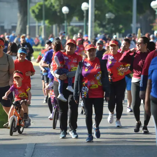 Foto: Alejandro García