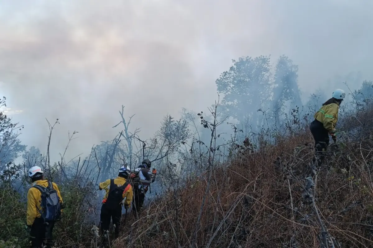 trabajos en el volcan de agua 2522024, 