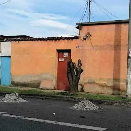 Imagen de referencia 