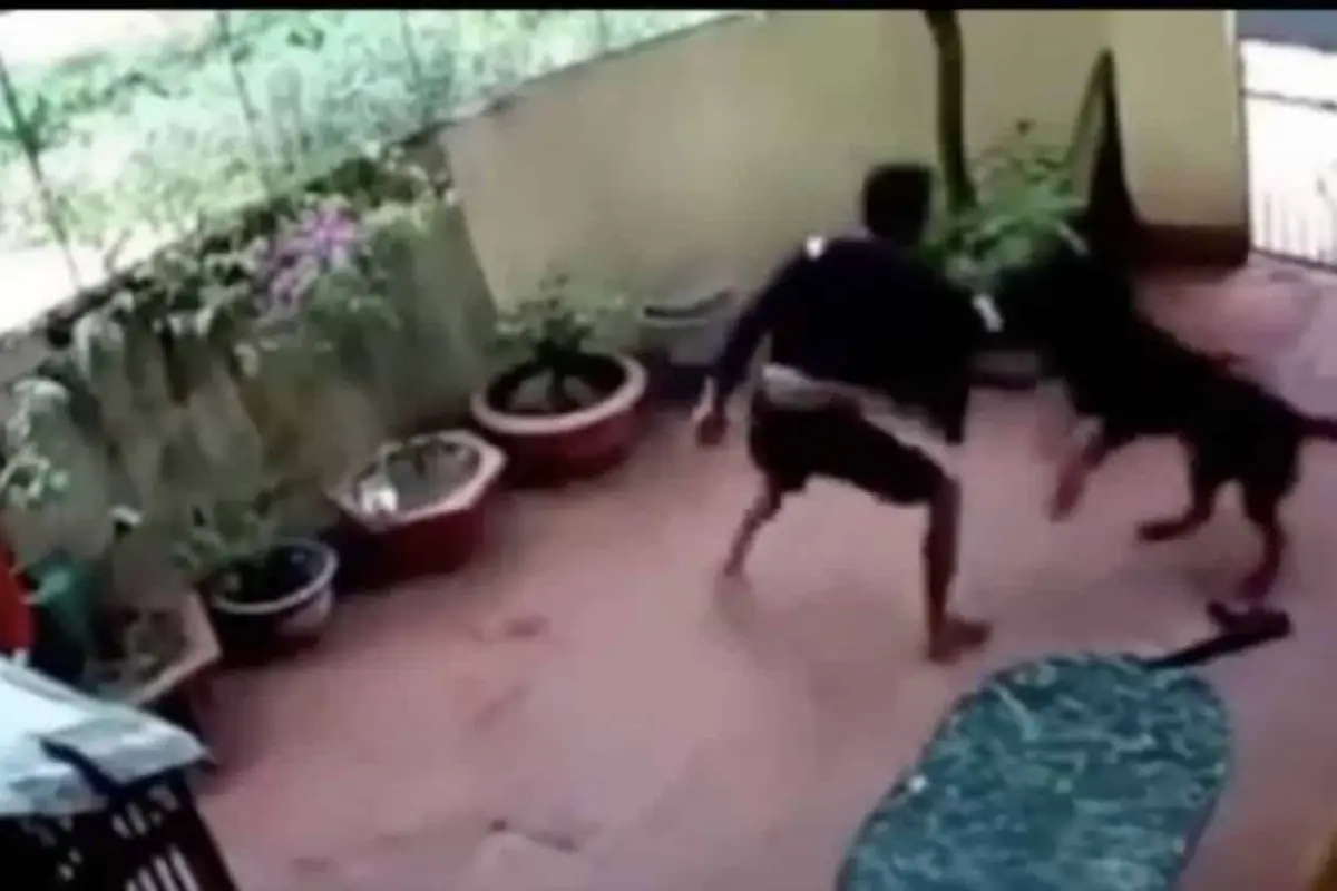 perro-salva-a-nina-de-ser-secuestrada,