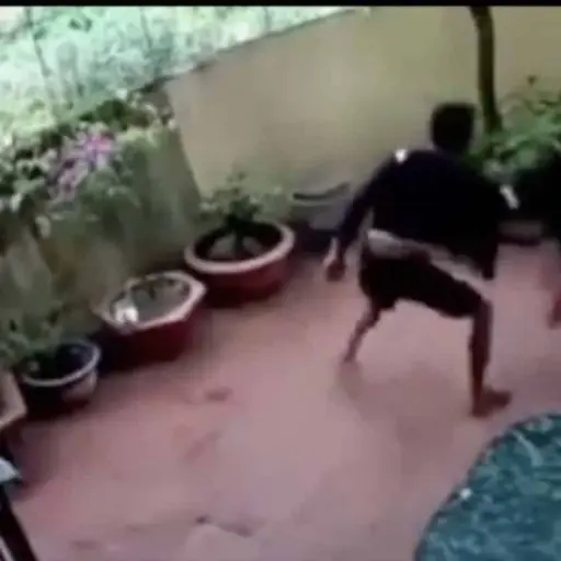 perro-salva-a-nina-de-ser-secuestrada ,