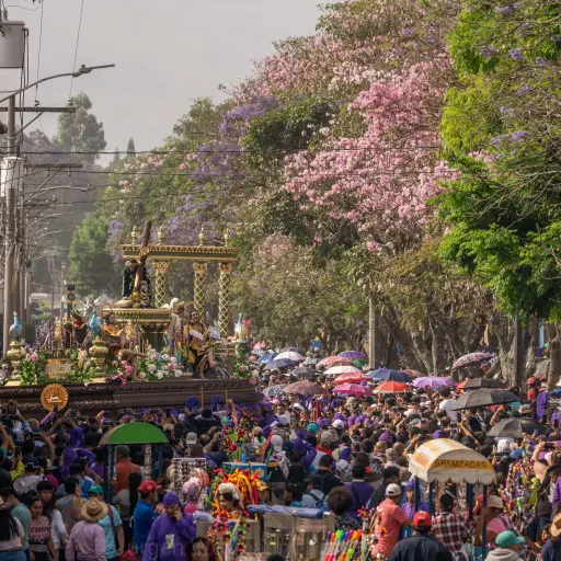 Fotos: Hermandad de Jesús Nazareno de la Caída.