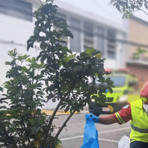 Foto: Bomberos Municipales 