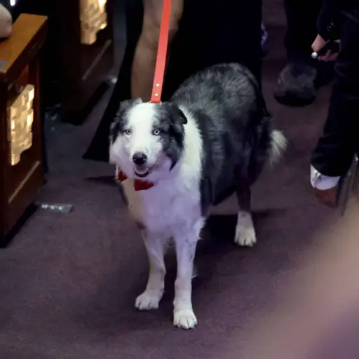 messi-at-the-oscars ,