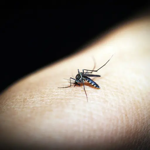 Imagen con fines ilustrativos | pixabay