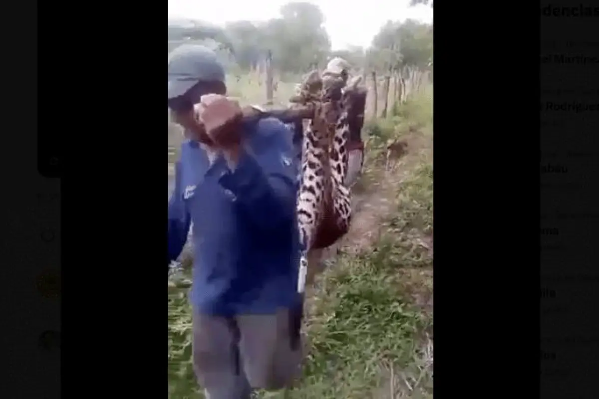 Foto: captura de video