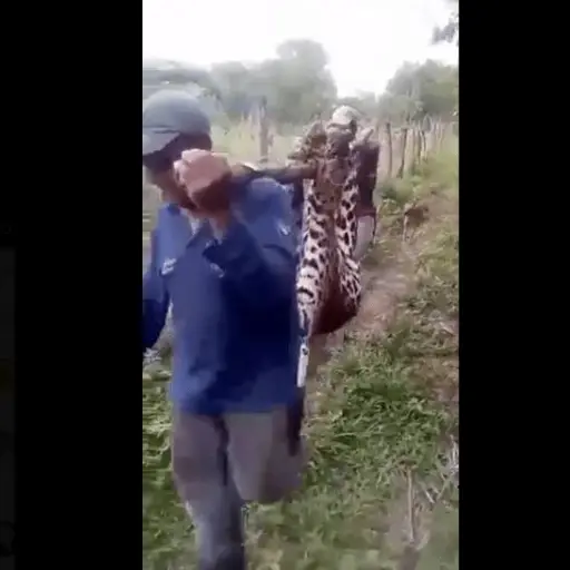 Foto: captura de video 