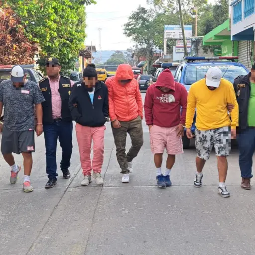 Coyotes capturados hoy ,