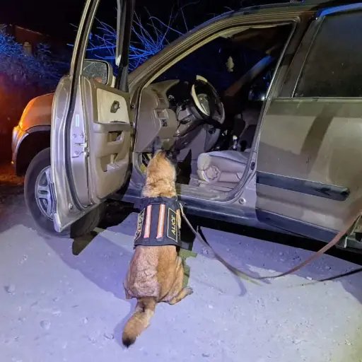 Droga decomisada gracias a la agente canina k-9 ,
