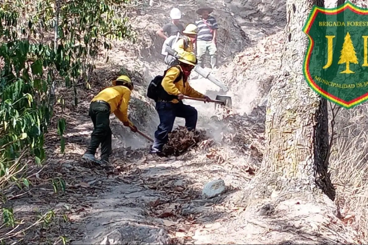 Incendios forestales en Guatemala 2024 version web,