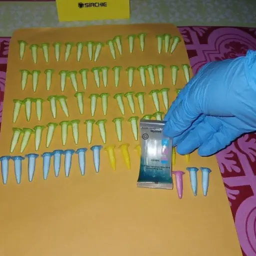 drogas incautadas por la PNC web ,