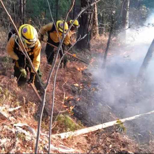 Incendio forestal en Santa Rosa. Foto: Conred