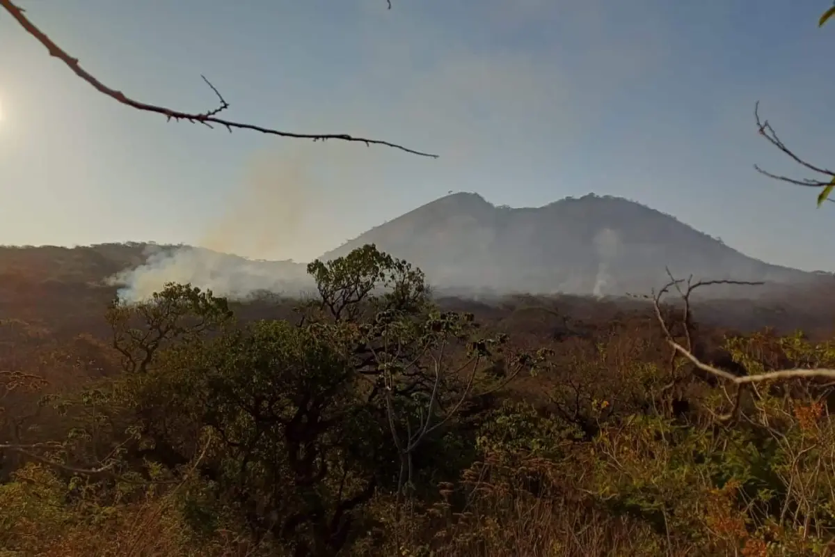 Incendios forestales en Semana Santa 2024, 