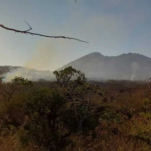Incendios forestales en Semana Santa 2024 ,