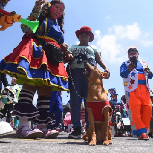 Foto: Omar Solís/EU