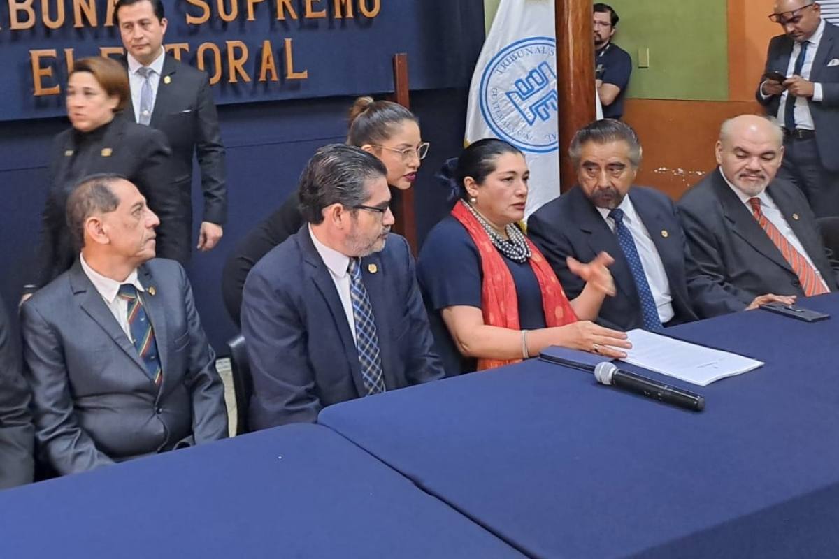 Suplentes desconocen a Alfaro como presidenta del TSE