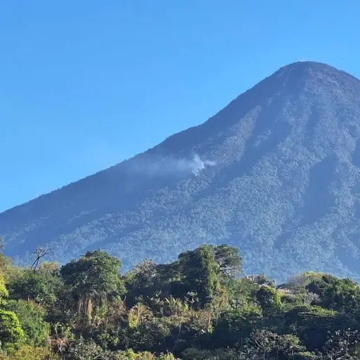 El coloso se vio seriamente afectado a principios de año, a causa de incendios forestales. Foto: Archivo.