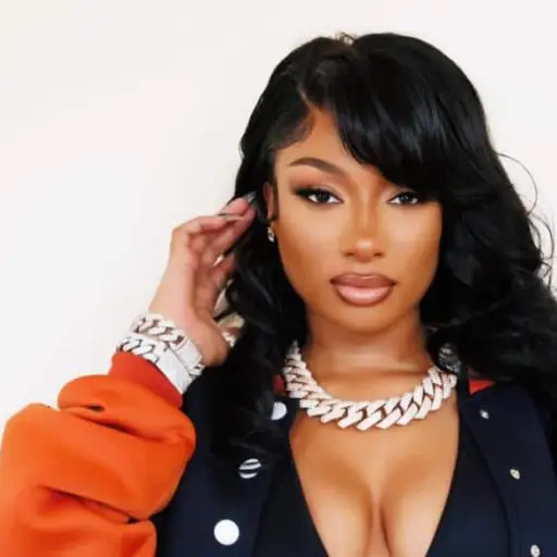 Megan Thee Stallion ,