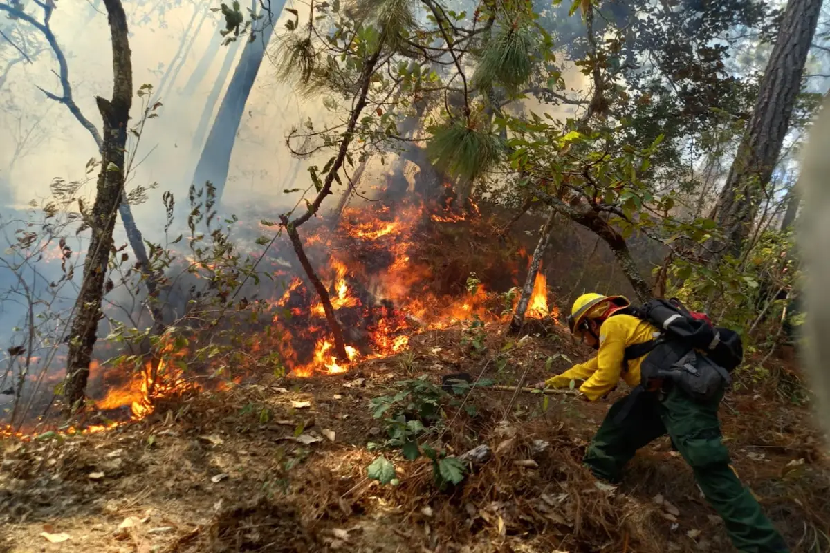 Actualizacion-de-incendios-forestales-verson-.jpg,
