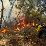 Actualizacion-de-incendios-forestales-verson-.jpg ,