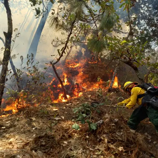 Actualizacion-de-incendios-forestales-verson-.jpg ,