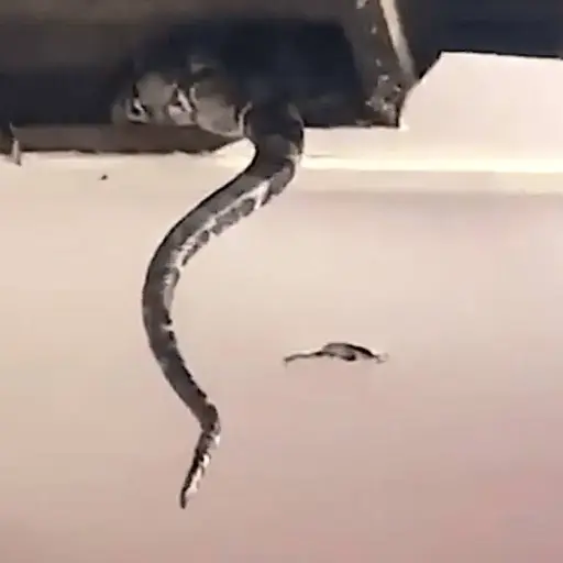 Imagen con fines ilustrativos 