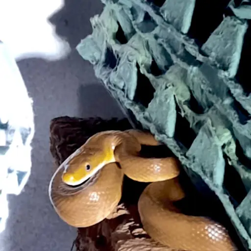 Foto: Bomberos Voluntarios 